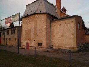 p3100140.jpg